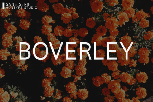 Boverley Typeface: Modern Branding Review