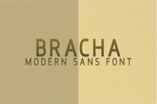 Bracha: The Elegant Sans Serif Font for Campaigns