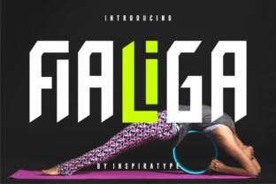 Fialiga: A Contemporary Sans Serif Font for Makers