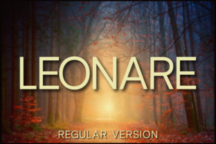 Leonare Regular: A Versatile Sans Serif for Campaigns